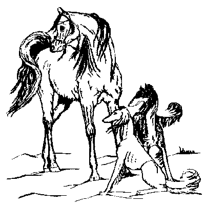 Asaalah Arabian Farm Logo